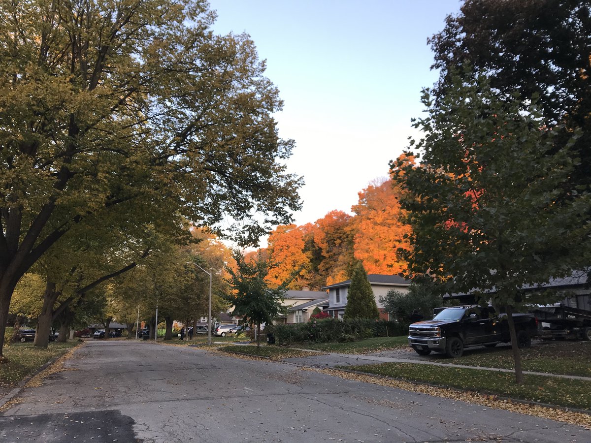 thatMNSchwarze's tweet photo. Last day of advance polls! RIM Park is open 10am–4pm.
As always, great to spend a whole Saturday out in Maple Hills & Sugarbush meeting residents. I sound like a bit of a broken record, but thank you to everybody who took time to chat!
#Ward6Waterloo #WRvotes #Waterloo #WatReg https://t.co/EUIzYLuHr1