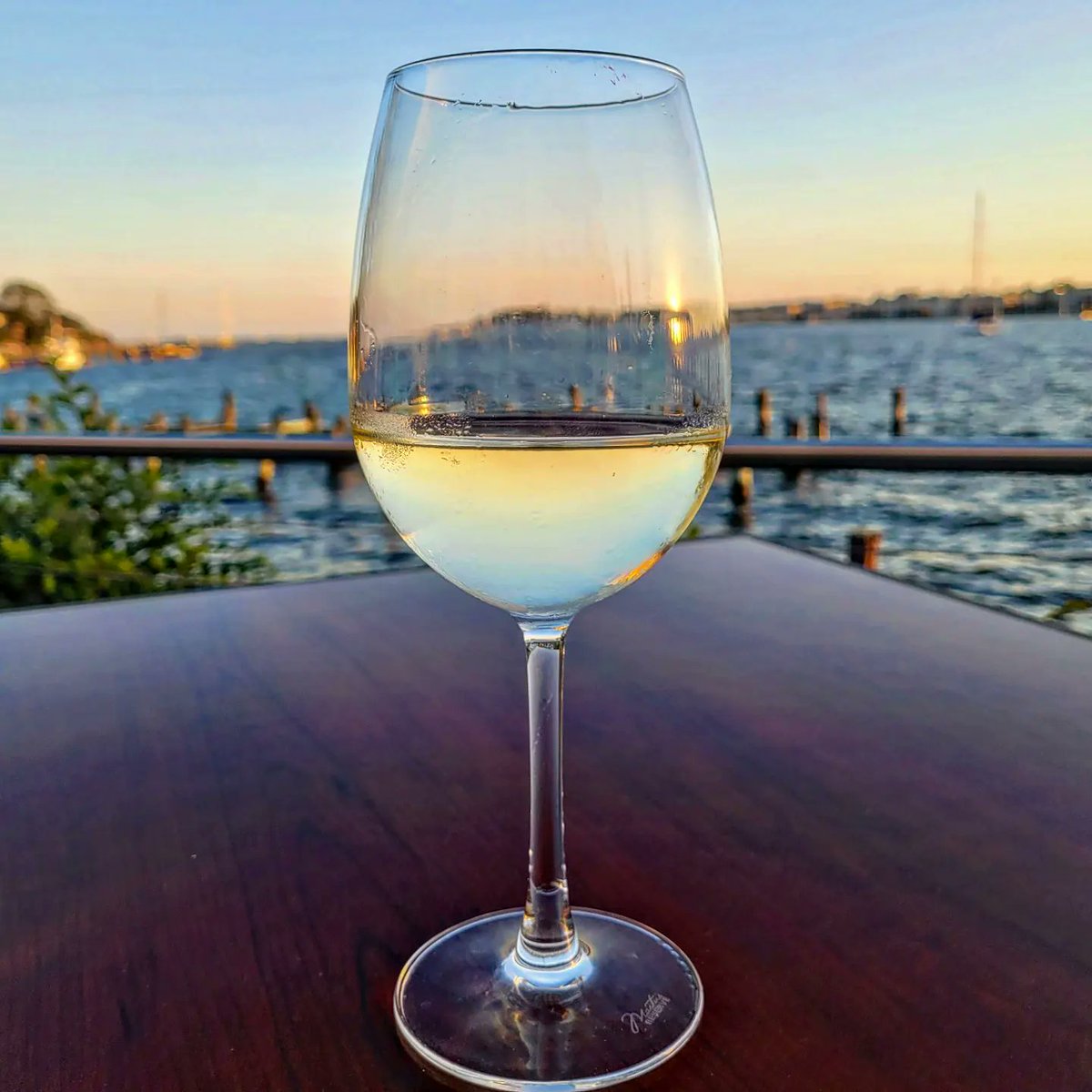 Sarah TeDesco tweet media