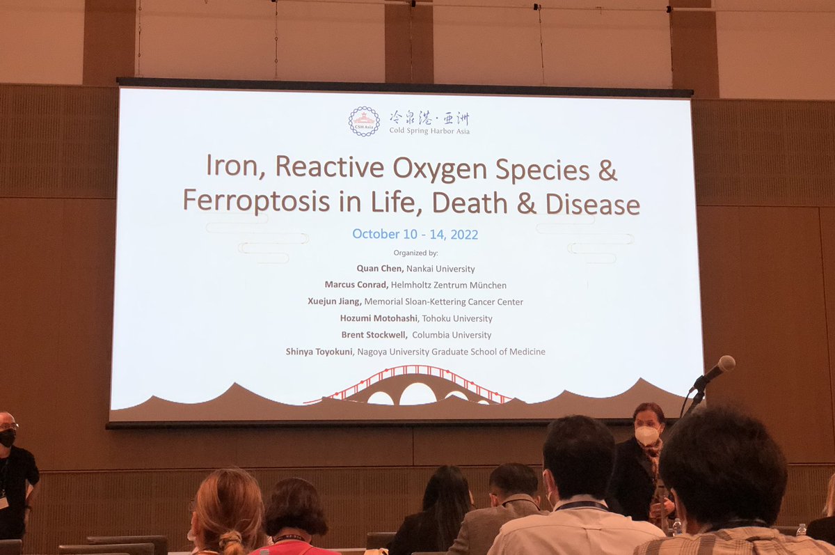 Judit Liaño Pons tweet media