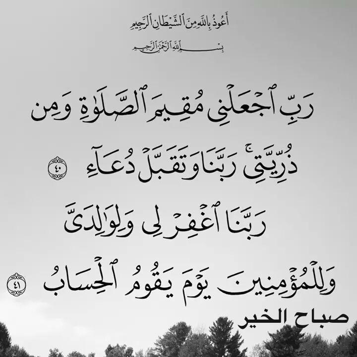 hasanalameri400's tweet image. 