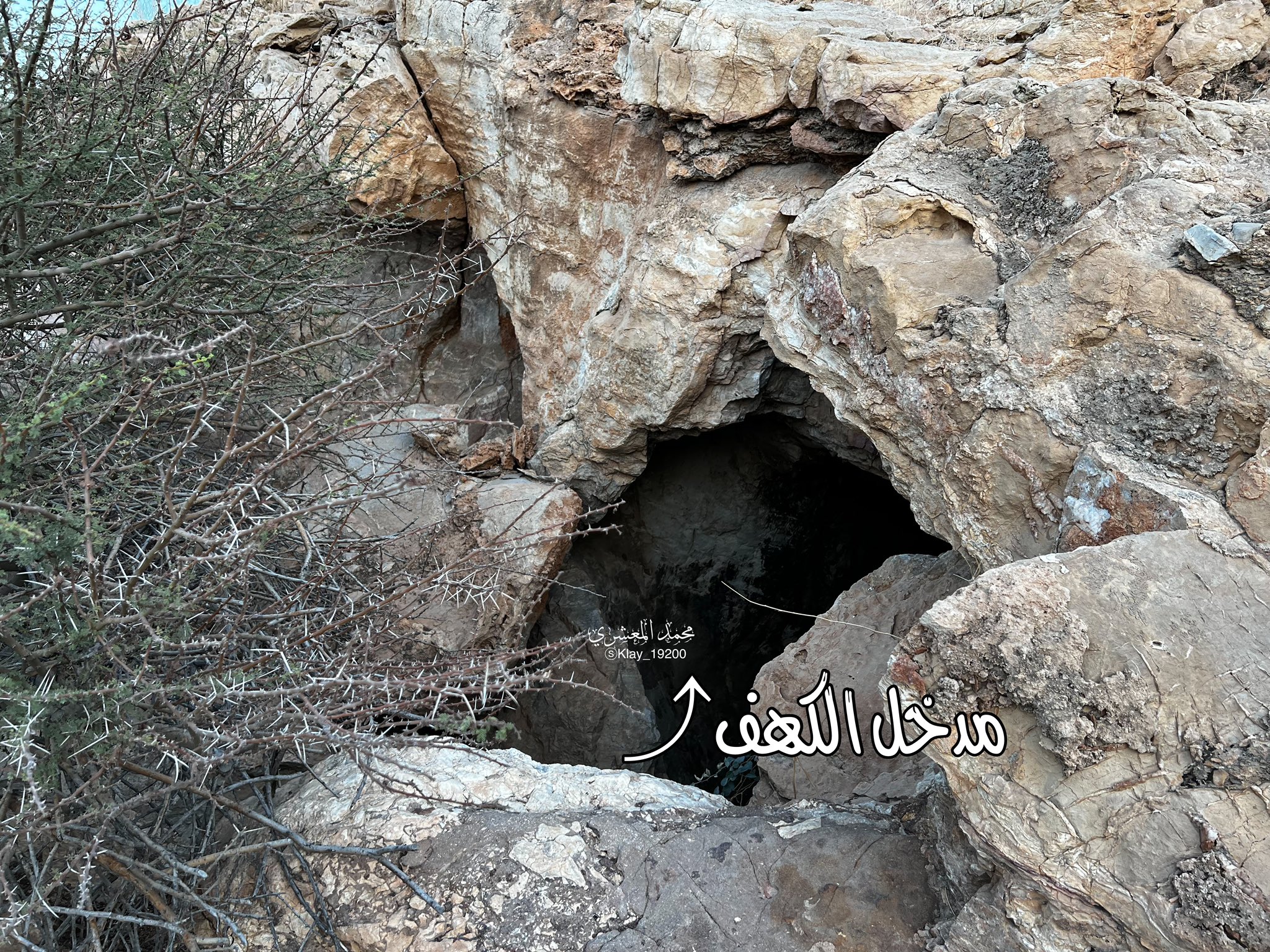 الصورة