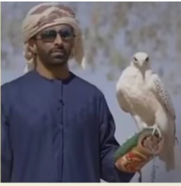 hasanalameri400's tweet image. 