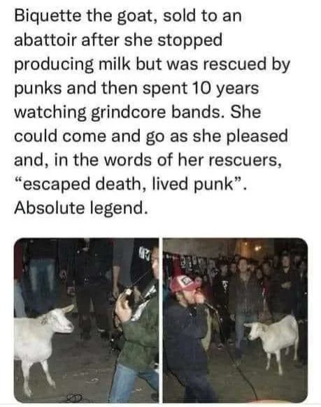 WholesomeMeme's tweet photo. https://t.co/E3G8Lx7B4x