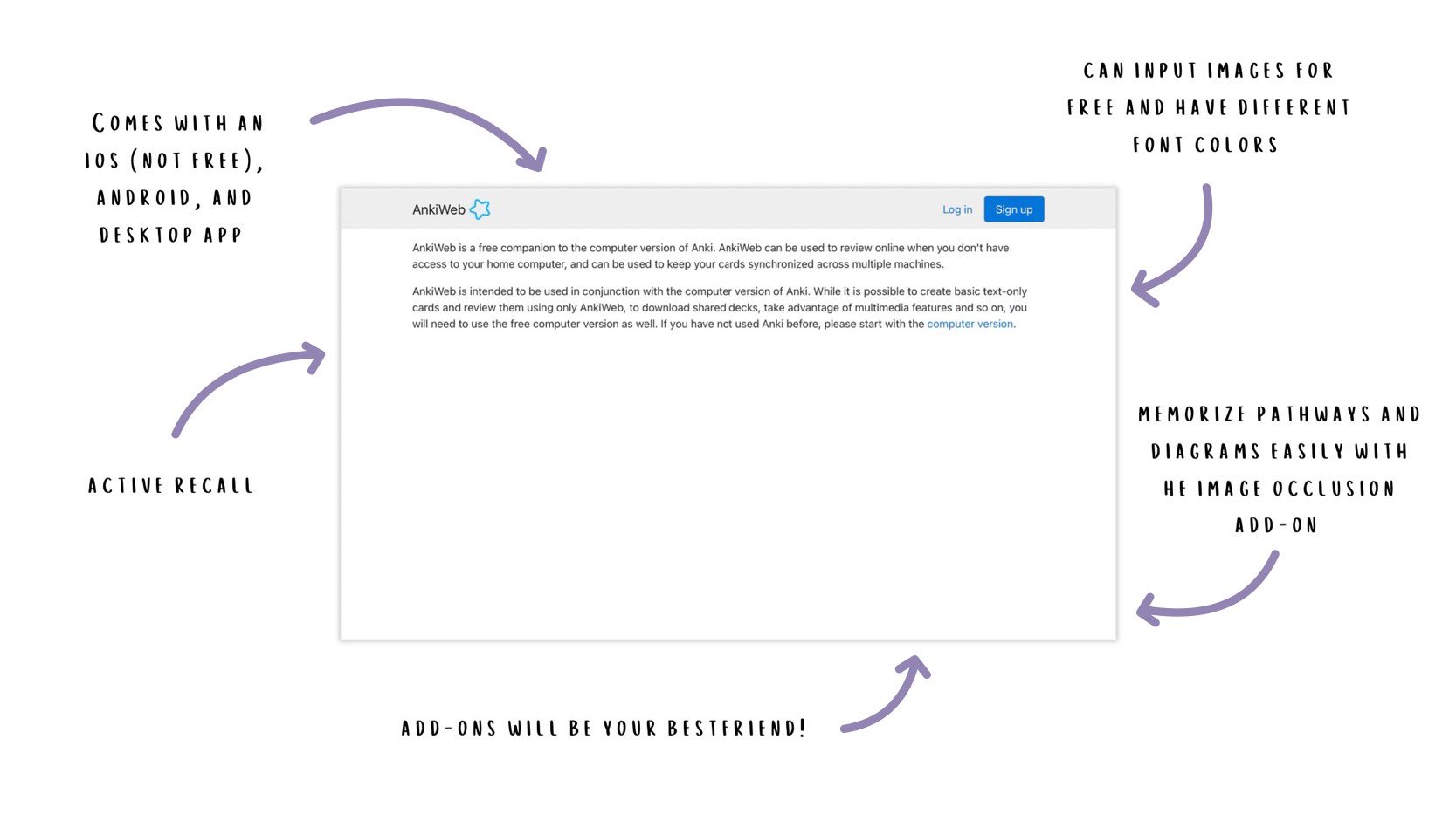 lex ☁︎ on Twitter "https//t.co/r7tK1RdGWx alternative for anki! an