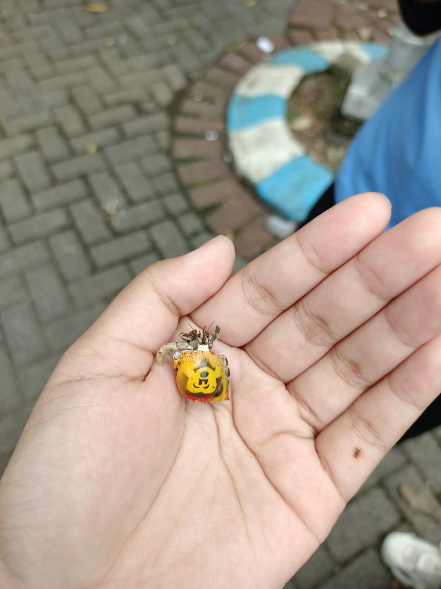 OMO HALO ADA MICKEY MOUSE LUCU