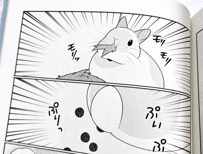ぽぽちゃんのエッセイも載ってるよ 