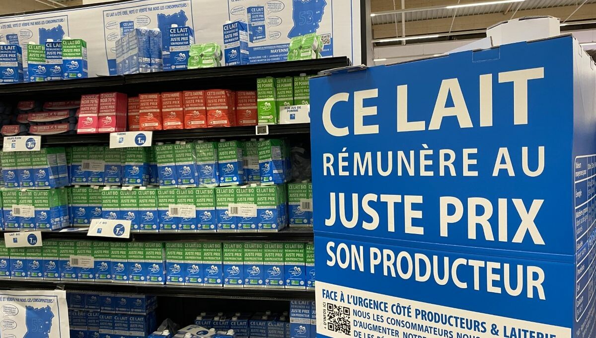 icimayenne's tweet photo. En #Mayenne, des éleveurs vendent leur lait plus cher grâce à "C'est qui le patron ?" @C_qui_le_Patron 
➡️ https://t.co/Lz5JYZCFOS https://t.co/IGzK4ufCvx