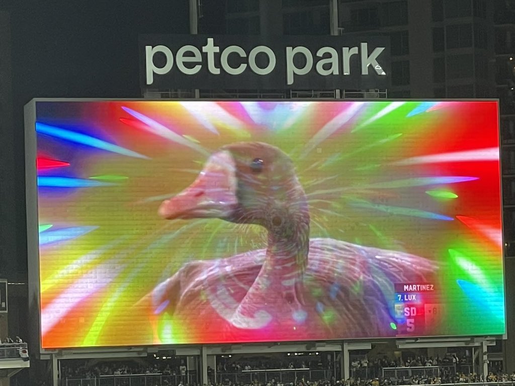 annieheilbrunn's tweet photo. This *was* shown on the video board before that 5-run seventh inning 🤷🏼‍♀️ https://t.co/MYvoxqaq1a
