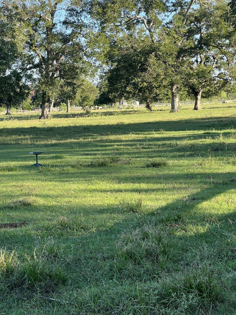 ButtramStephen's tweet photo. @elonmusk Starlink is a game changer in ANGLETON Texas.  Will be everywhere soon.  Keep up the good work https://t.co/ON1pToNYab