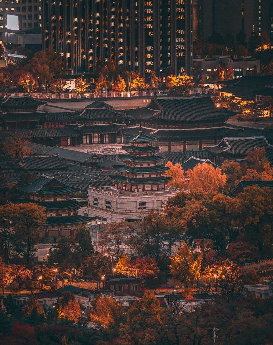 WTravelMagazine's tweet photo. #Fallfoliage in #Seoul at #Gyeongbokgung #Palace! Could there be any better view of the autumn colours than these! ๐ ๐ ๐
๐ 161 Sajik-ro, Jongno-gu
๐ธ @sinjunpic
#travelkorea #amazingshot #photozone #travelagain #korea #koreatravel
Reposted from @visitkorea_travel https://t.co/rlb07l3eHU