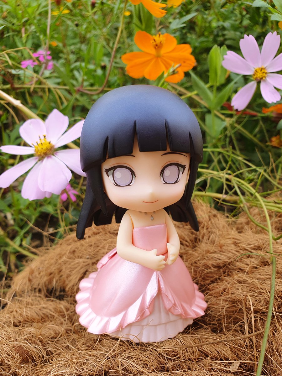 SD_TORI's tweet photo. https://t.co/gnY7r1E28g