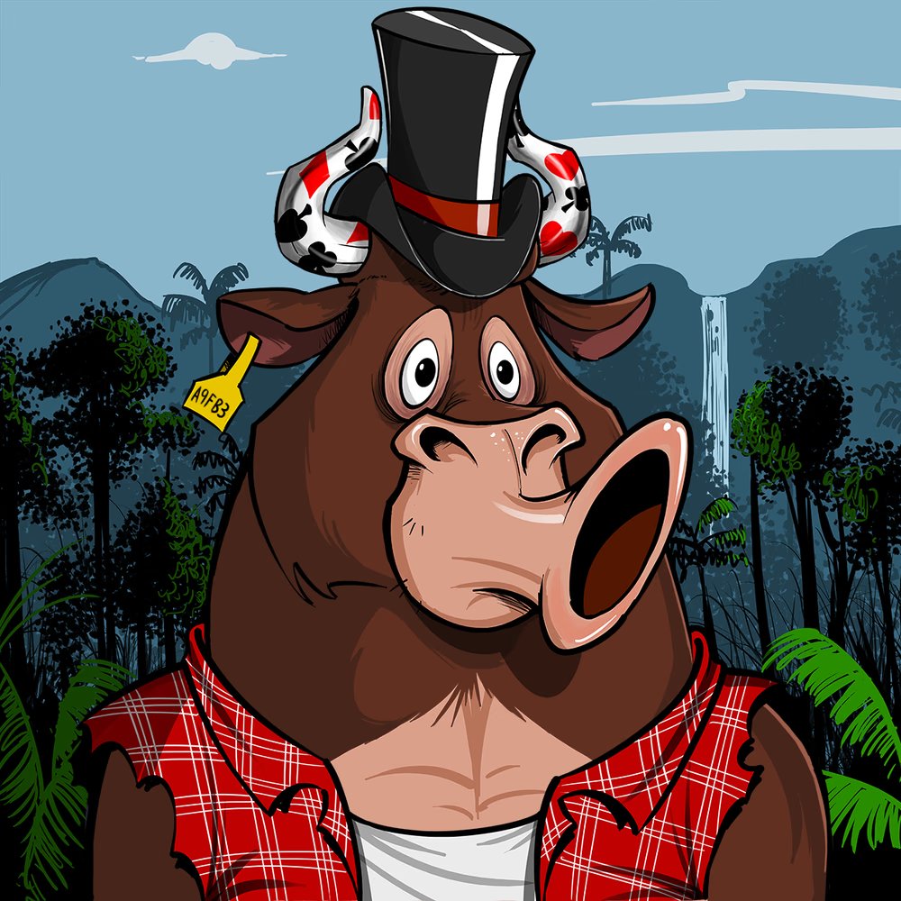 KapitalCrypto's tweet photo. Show your first ever BOTB-OG Bull.  This was gifted to me 425 days ago and it sent me down the Bull Hole (Rabbit Hole)

@bullsontheblock #BOTB https://t.co/fMBfflzw7p