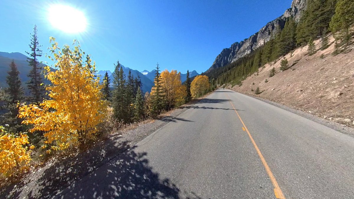 ABfoothillsWX's tweet photo. Rode the bikes from Lake Louise up to Moraine Lake @BanffNP on the first Saturday the road has been closed to cars. WOW🤩 what a trip.
Hundreds of bikers and walkers all the way up and back. 
There's a stiff climb about half way up but the ride down is a blast.
100% Excellent day https://t.co/Tpfxog5U1f