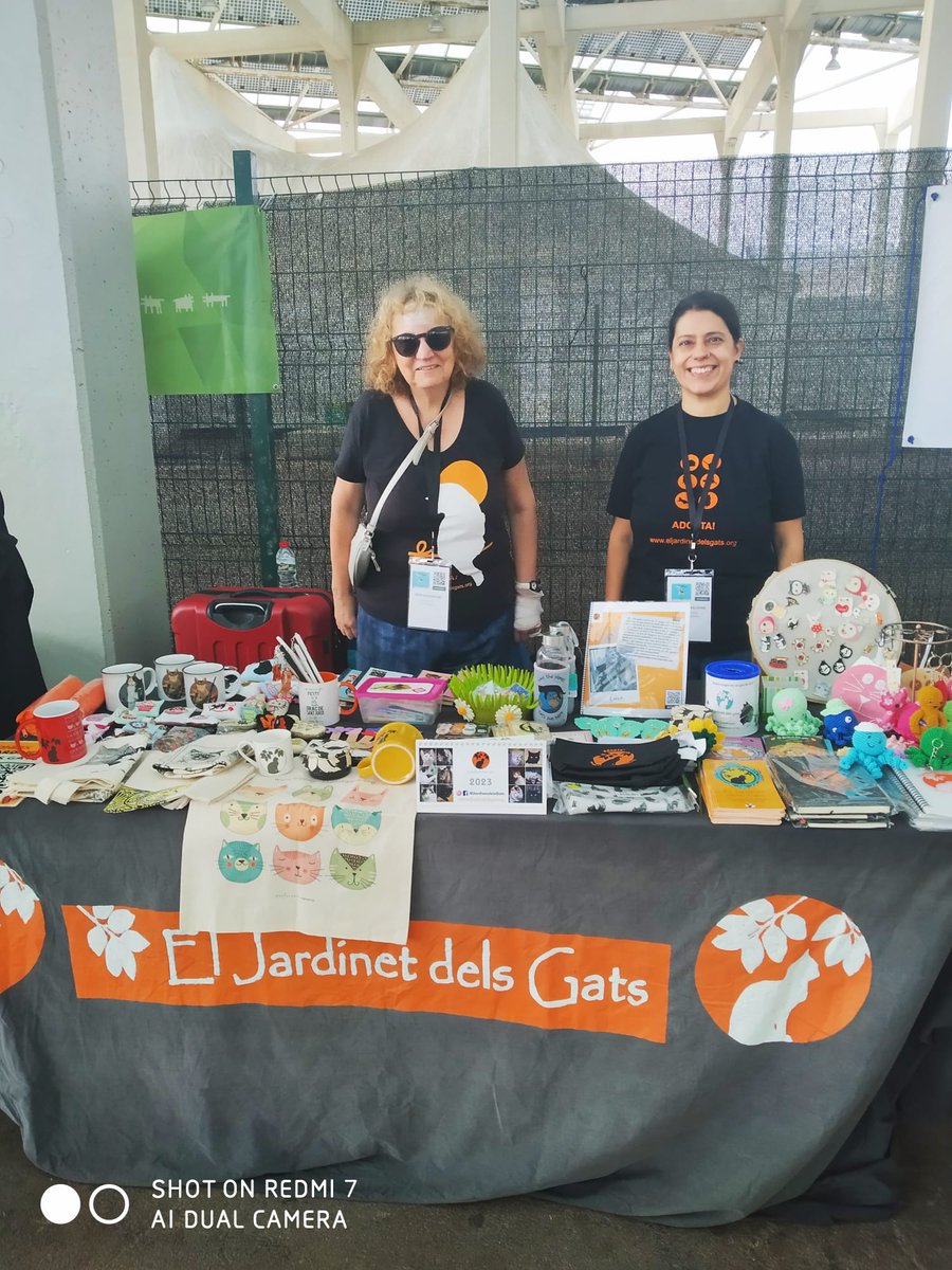 Jardinet dels Gats tweet media