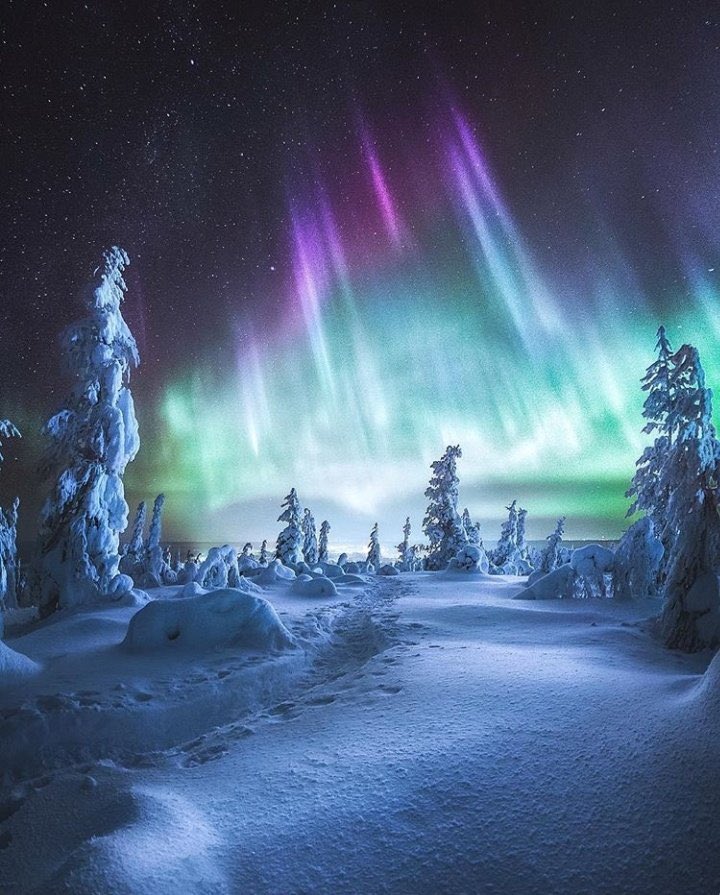 Levi, Finland ✨