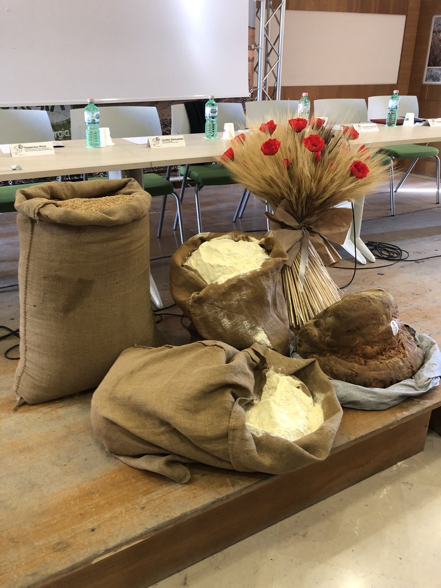 Oggi giornata mondiale del Pane. Il Pane di Altamura DOP, re della tavola e della dieta mediterranea, contiene proteine e fibra solubile nell’endosperma, olio ricco di carotenoidi, Mufa e Pufa nel prezioso germe che lo rendono salutistico e nutrizionale. Tradizione e territorio