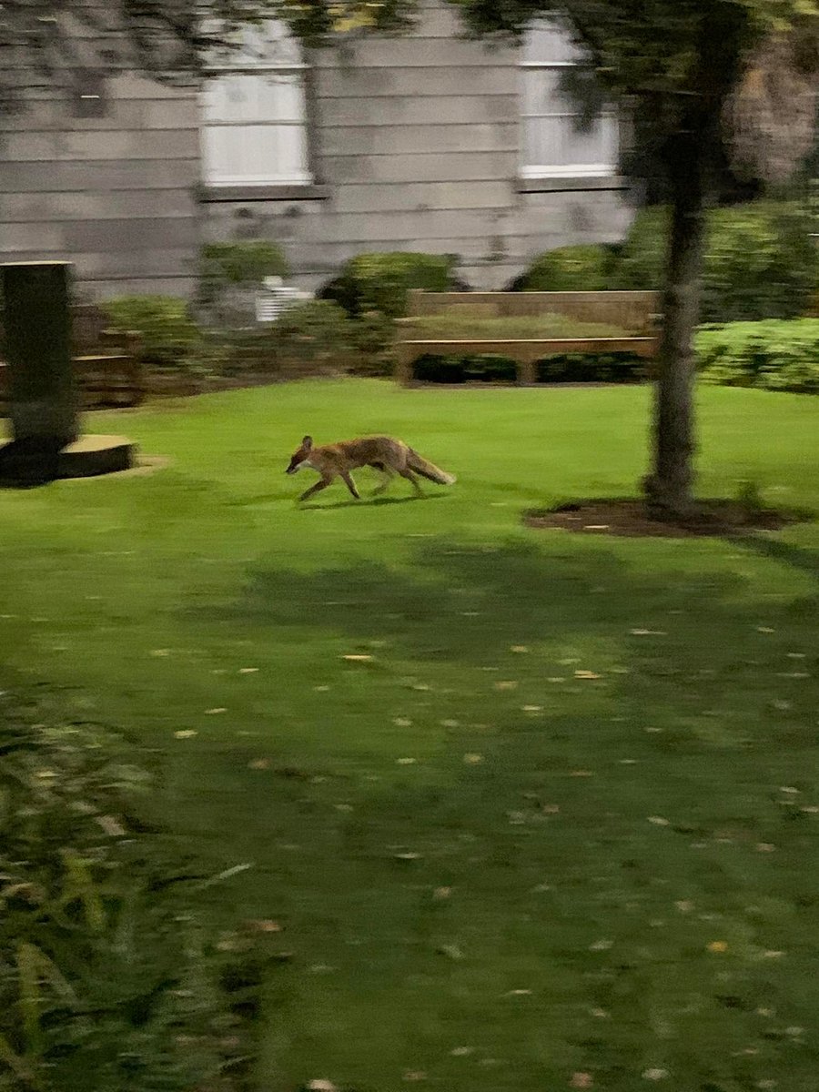 DU ZooSoc tweet media