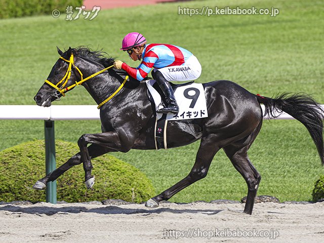 競馬パネル 2025年最新】競馬パネルの人気アイテム - メルカリ