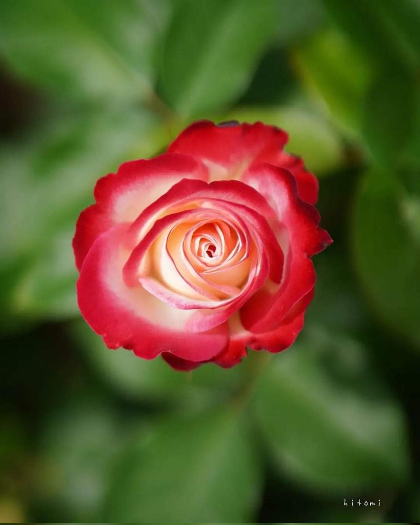 Be guardians of your prayers, and of the midmost prayer, and stand up with devotion to Allah
Al-Baqara - 2:238
#EagleOfIslam