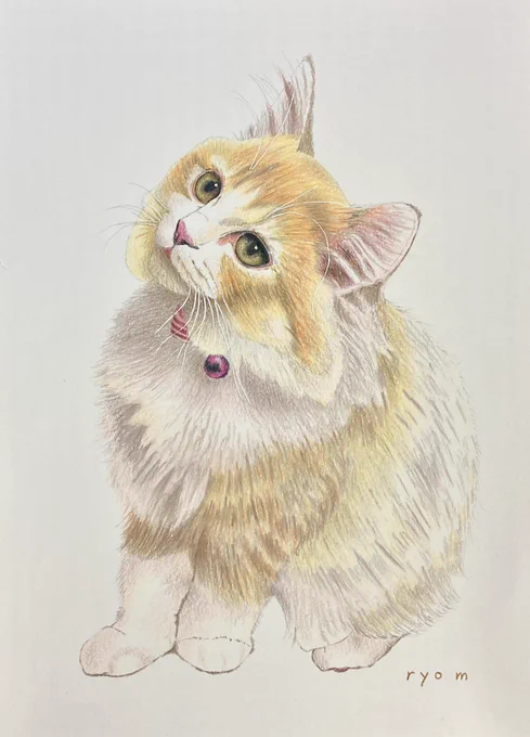 #イロドリアル配信 #イロドリアル #色鉛筆画 #ねこぬりえインスタライブで描いたメインクーン少しだけ加筆しました約2時間  