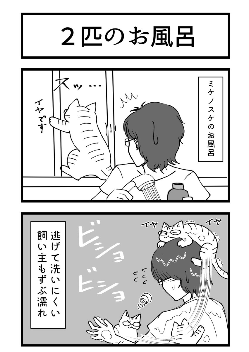 なんか続いちゃったお風呂漫画。
元ネタ的にミケサクはバブで遊ばせたかったけど、猫に使っていいか分からなかった←
アヒルちゃんも好きだし良いよね!(カモアルネタ) 