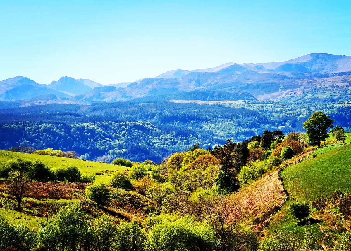 🏴󠁧󠁢󠁷󠁬󠁳󠁿 (@cassmcilveen) on Twitter photo 