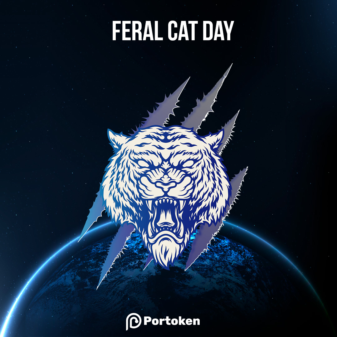portumatoken's tweet photo. Did you know that today is Feral Cat Day? Happy Feral Cat Day to the whole PorTigers and felines! 🐯😍

#WeArePortiger #Portiger #PORToken #Token #Portuma #Gamers #Blockchain #Playtoearn #Play2Earn #Earn #FeralCatDay https://t.co/da77AB1ZTf