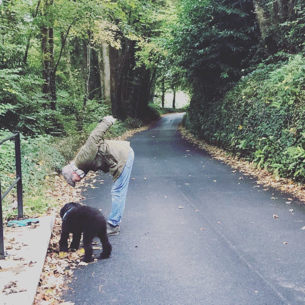 Friendly All Ability weekly Yoga class at St Lukes Buckfastleigh in hall at back - Weds 7.30pm - 8.30pm - drop ins welcome #yoga #buckfastleigh #yogaclass #exercise #facetoface #ashburton #southdevon @BeBuckfastleigh <a href="/BflCouncil/">BuckfastleighCouncil</a> <a href="/bflpool/">Buckfastleigh Pool</a> <a href="/VisitBuckfastl1/">Visit Buckfastleigh</a> <a href="/mdaupdates/">Mid-Devon Advertiser</a>