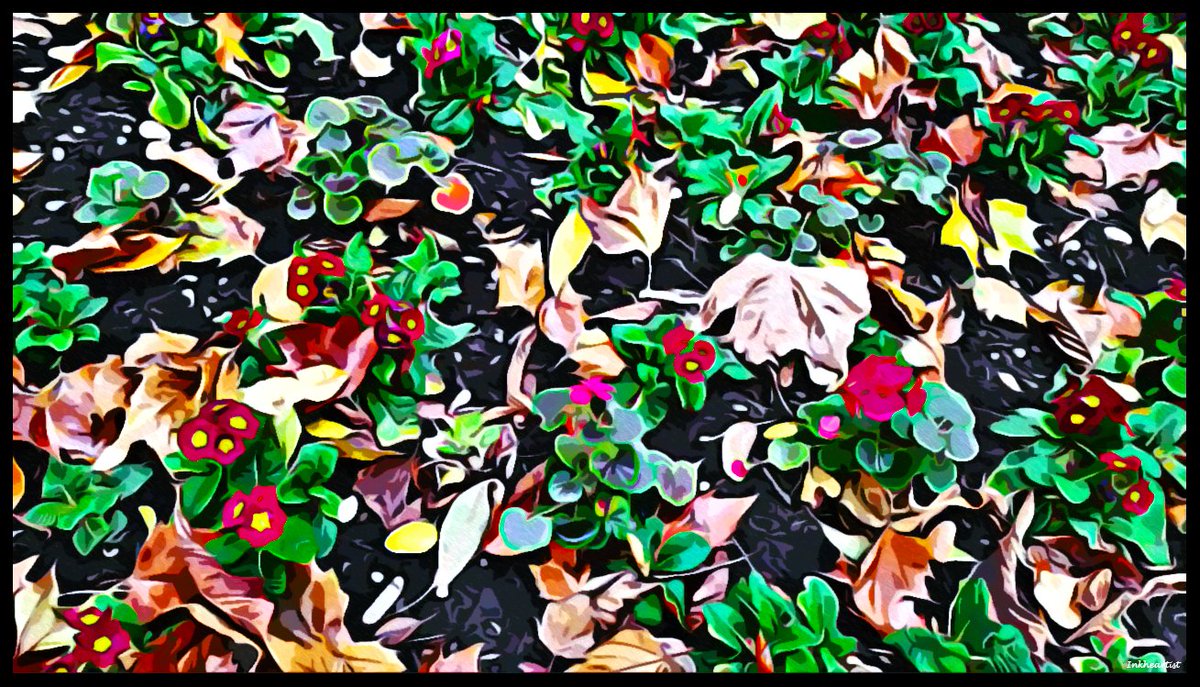 inkheartist's tweet photo. Rustic Fall

#art #park #flowers #green #fall #seasons #winteriscoming #rustic #leaves #nature #walk #resilience #colours #beautiful https://t.co/vUPv4vxj6Y