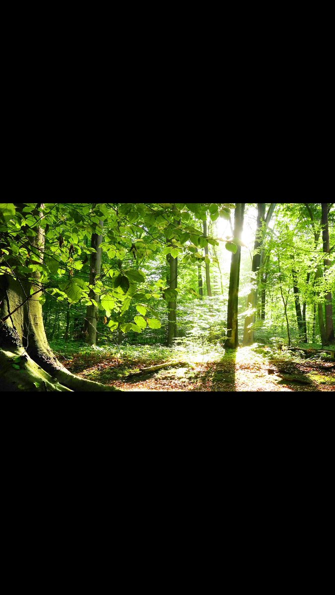 Tüm dostlara hayırlı pazarlar.