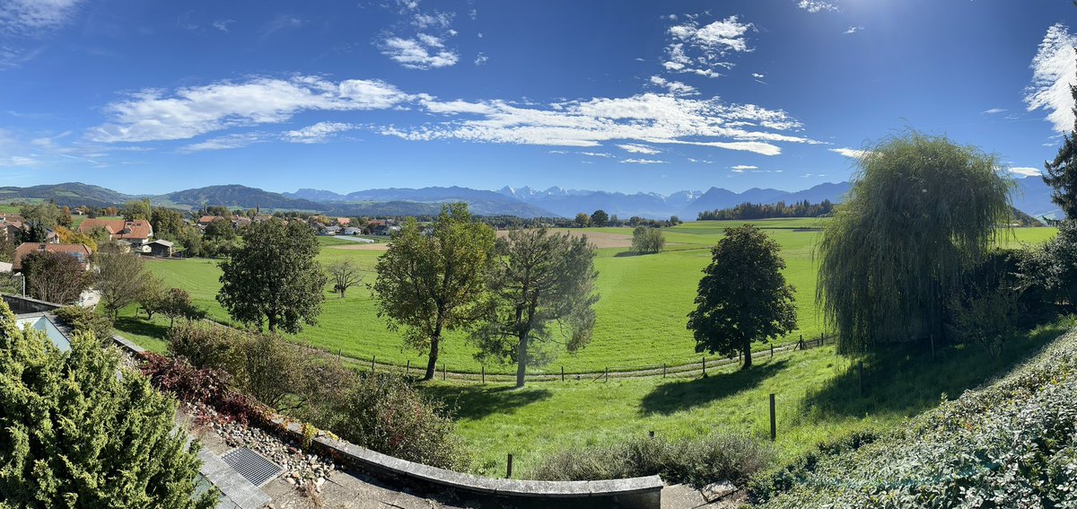 BikeRieder🇨🇭 tweet media