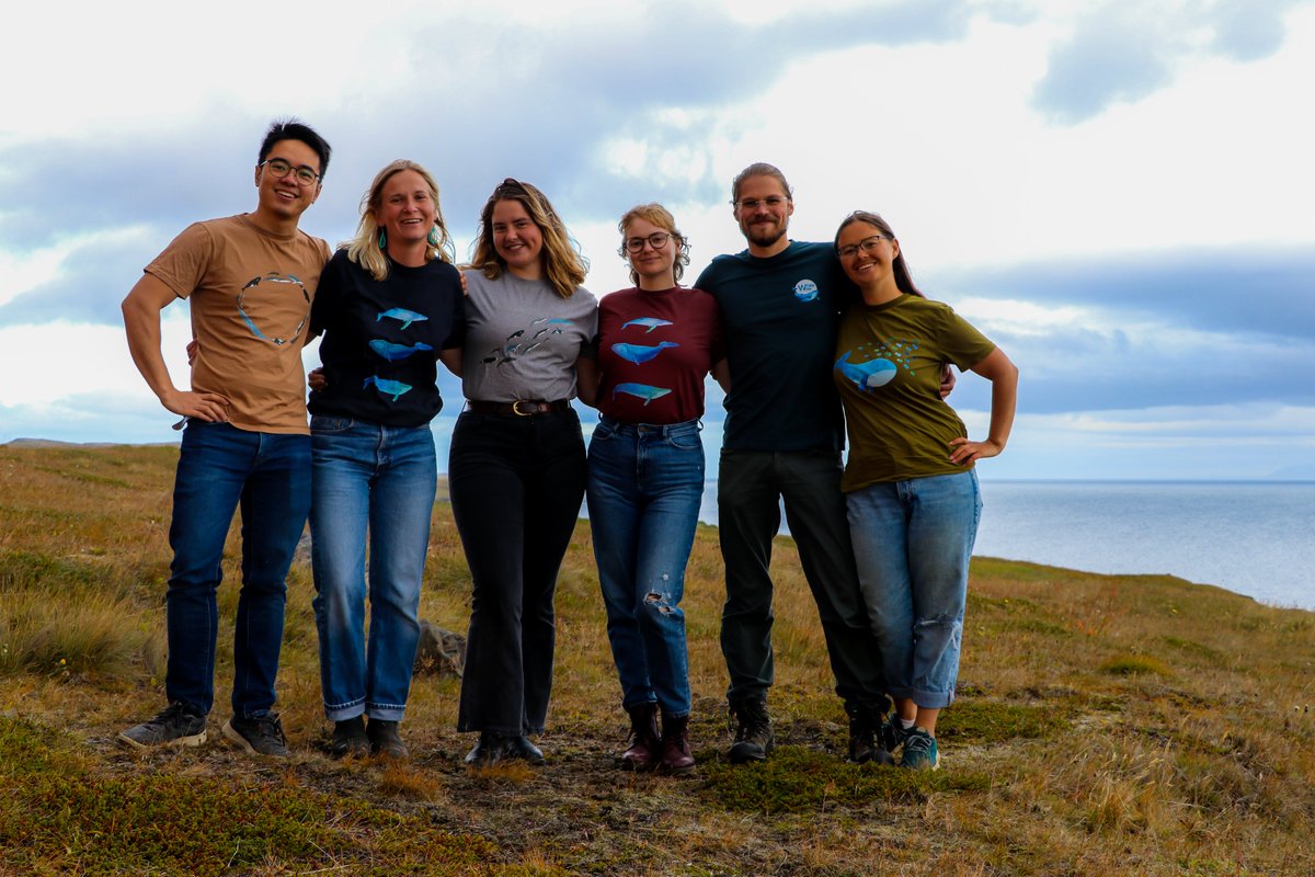 Whale Wise tweet media