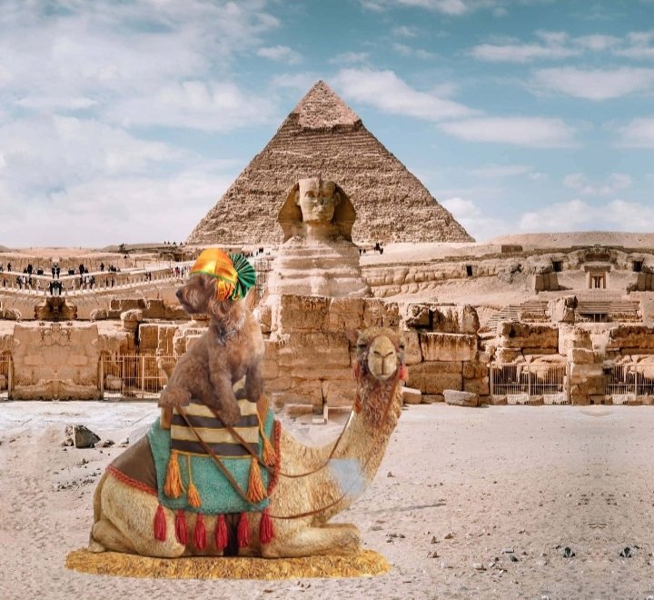 MiloNames's tweet image. Mom got the hump she went tk the Cotswolds instead of joining us on our adventures 😉 #RuffRiderz