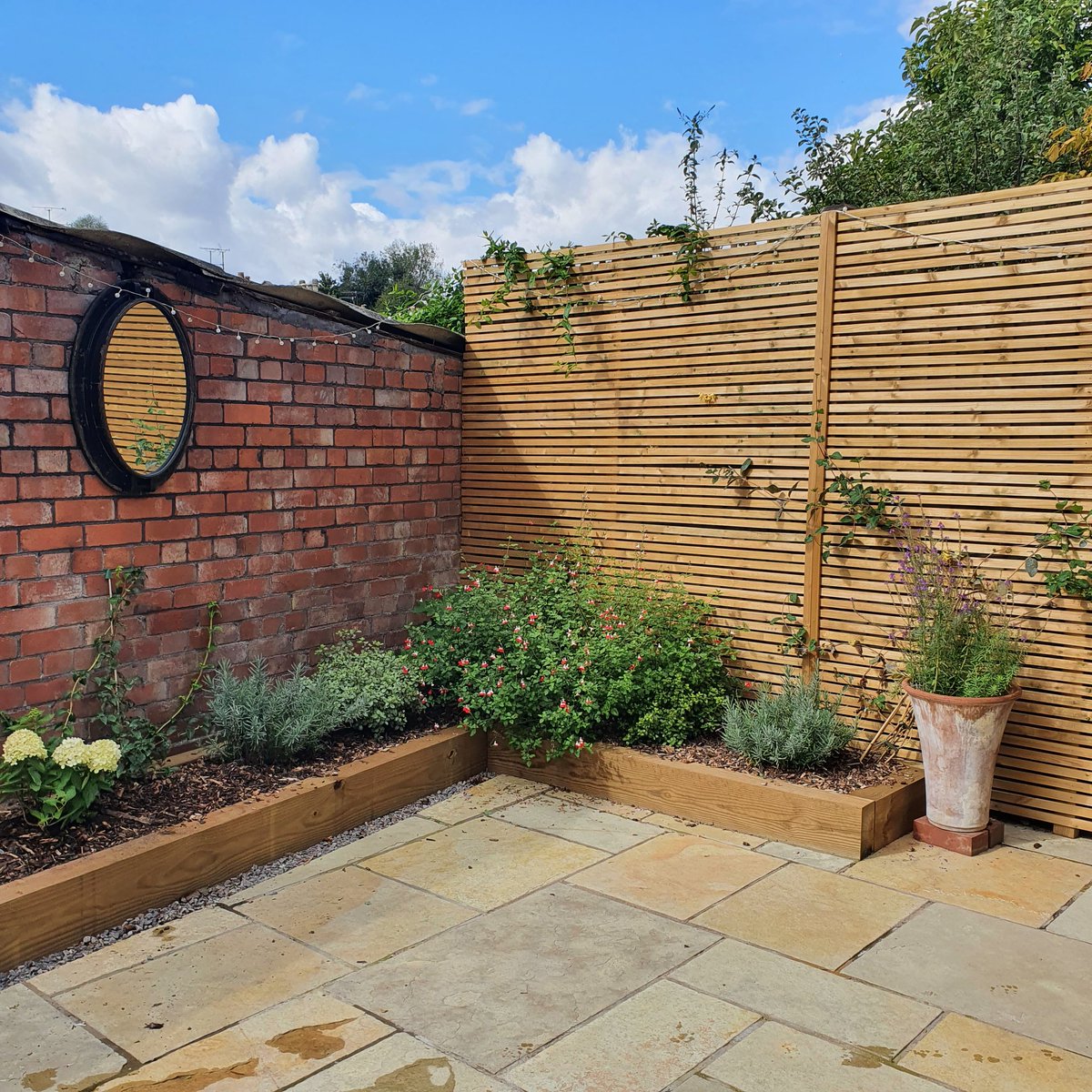 secretgardenweb's tweet photo. 07:48

N 76%

New reel

Edit cover

We revisited this #bristolgarden mid September, which we #landscaped earlier this year. Great to see all the plants #growing and developing!
#timberscreen #timberscreening #yellowlimestonepaving #yellowlimestone #redbrick https://t.co/zN3U7ba3o1
