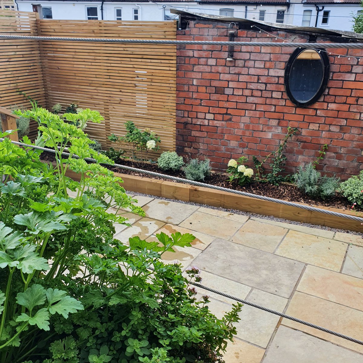 secretgardenweb's tweet photo. 07:48

N 76%

New reel

Edit cover

We revisited this #bristolgarden mid September, which we #landscaped earlier this year. Great to see all the plants #growing and developing!
#timberscreen #timberscreening #yellowlimestonepaving #yellowlimestone #redbrick https://t.co/zN3U7ba3o1