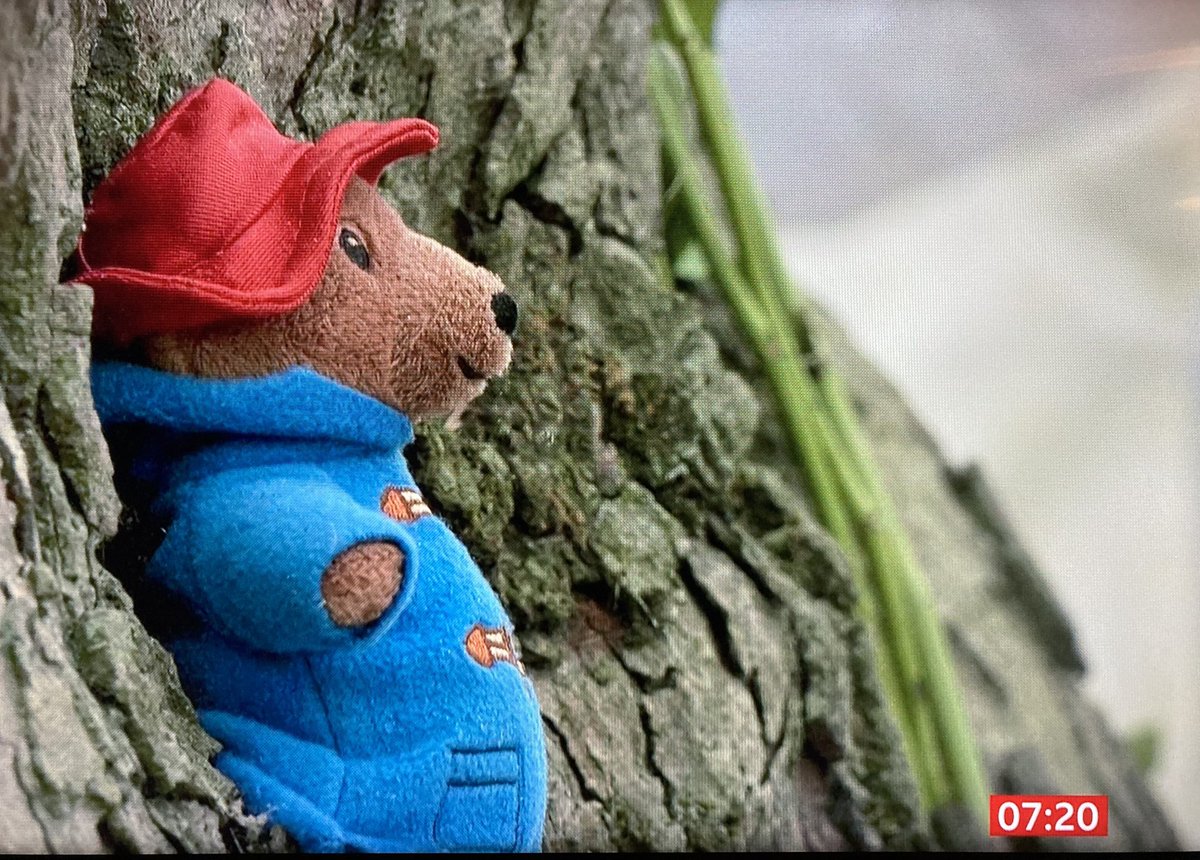 ‘We are deeply honoured. It is a wonderful tribute’ <a href="/barnardos/">Barnardo’s</a> CEO <a href="/lynnanneperry/">Lynn Perry MBE</a> says to <a href="/BBCBreakfast/">BBC Breakfast</a> today after teddy bears left in memory of Her Majesty Queen Elizabeth II are donated to the children we support 💚🐻