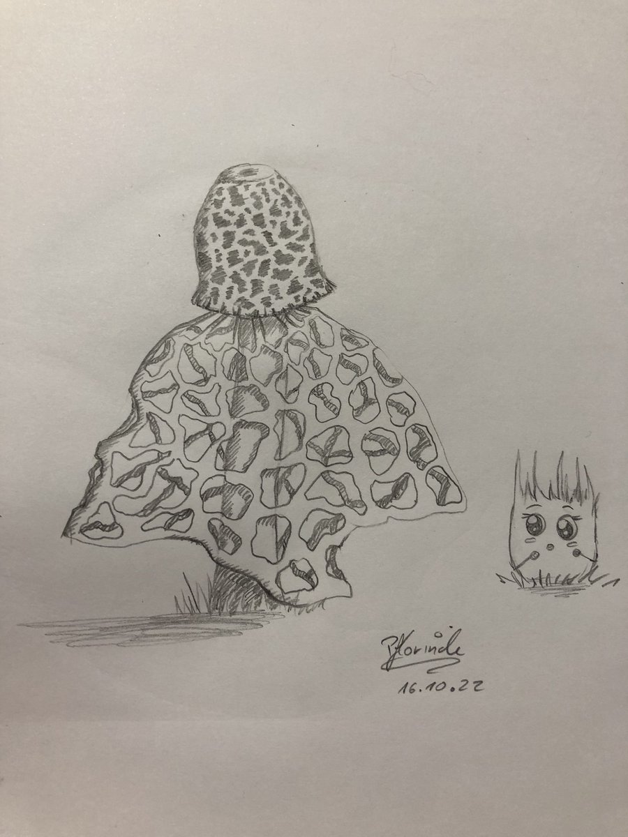 pflorinde's tweet photo. Tag 16 Pilz #struepptober2022 #Struepptober @datGestruepp #traditionalart #Pencildrawing #sketchart #art #artist #artwork #ArtistOnTwitter #pencilsketch #drawings #draw @ArtMutuals @ReArtistron @ArtistRTweeters #drawingoftheday #lineartist #lineart #traditionalartist #Mushroom https://t.co/0wOFAp3etM