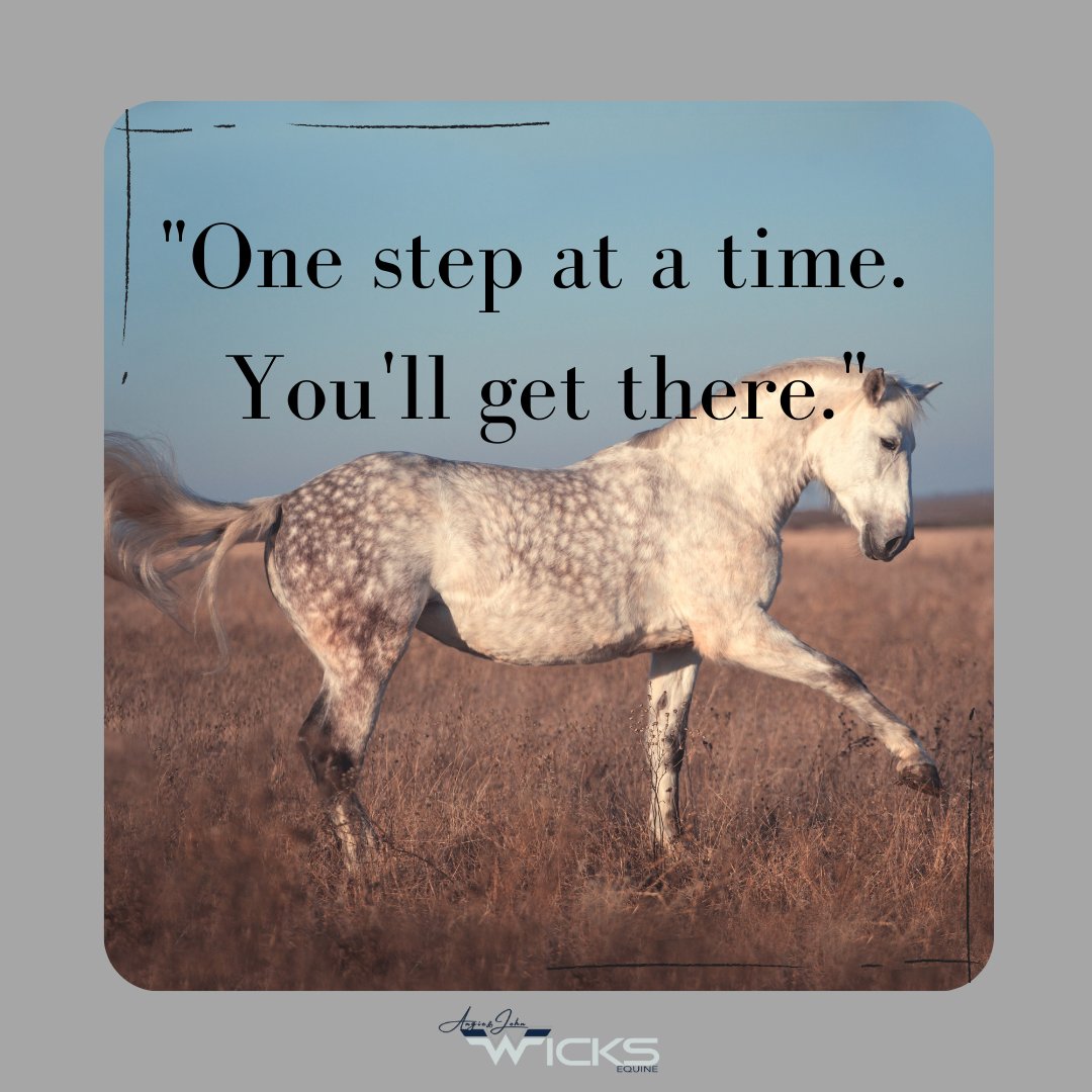 AngieEquine's tweet photo. #youllgetthere
One Step at a time. You'll get there.

#wicksequine #johnwicks #angiewicks https://t.co/u8mTIdEU3C