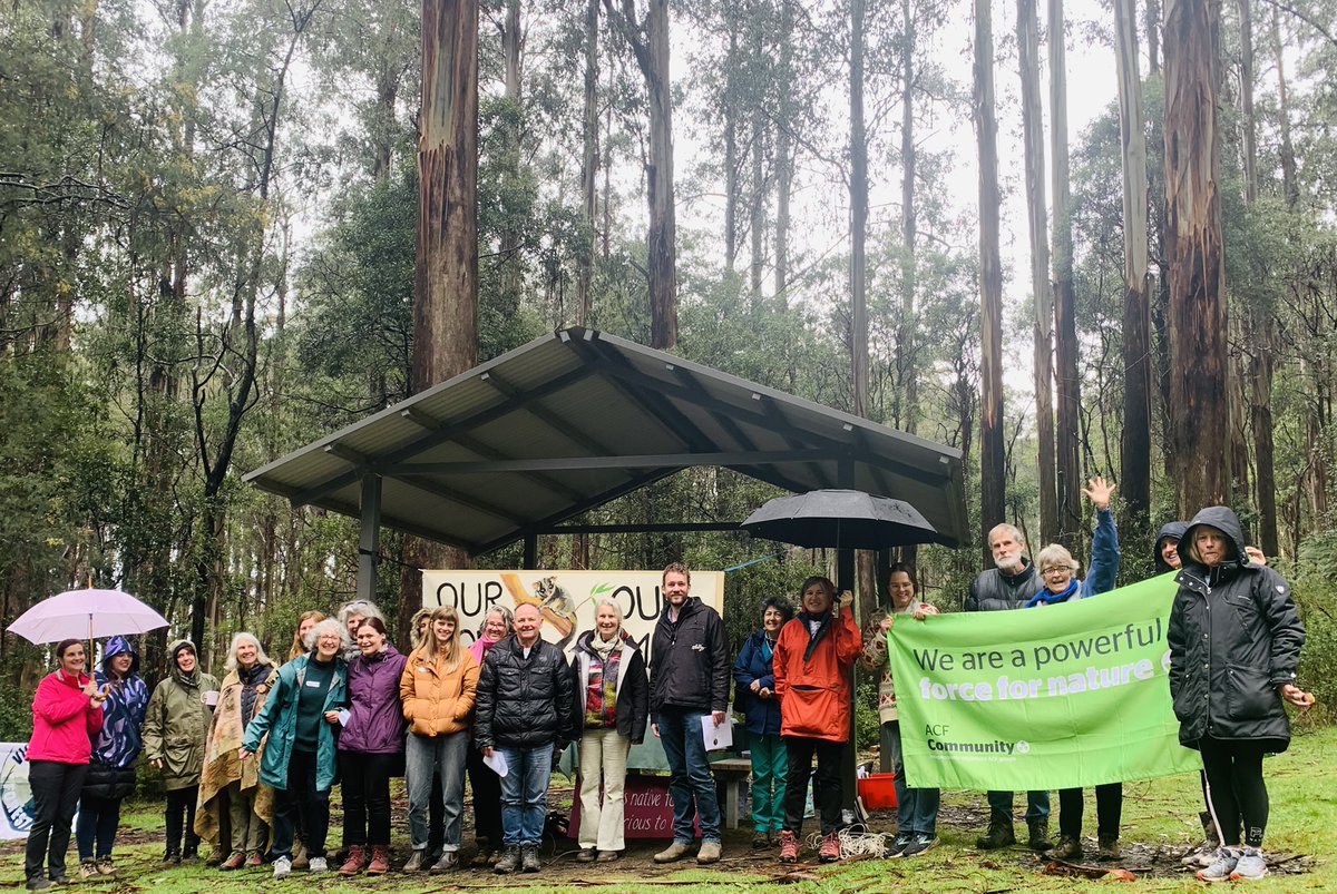 ninakillham's tweet photo. We brought MPs and candidates to Toolangi this morning to show the devastation that logging has brought to our native forests. Several were visibly moved and upset. Please listen to us @DanielAndrewsMP #stopnativelogging #savethetrees #saveournativeforests https://t.co/yKf0bUjGKu