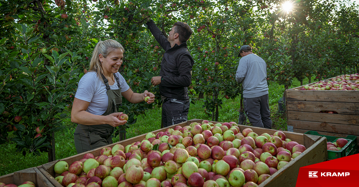 Celebrating World Food Day! Let’s all take a moment to celebrate World Food Day by appreciating the hard work everyone is putting in so we can all enjoy quality food and understand how the consumption of healthy food can positively impact our precious environment and society.