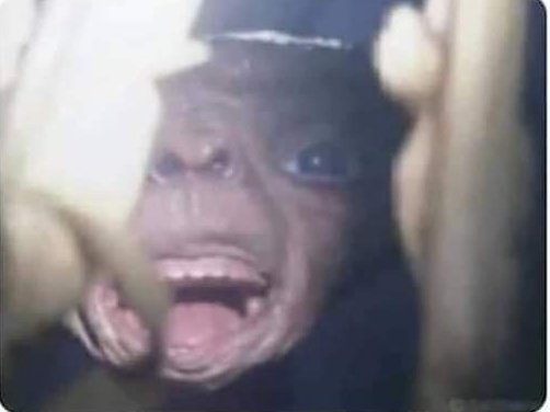 Cuando haces un cunnilingus a una embarazada