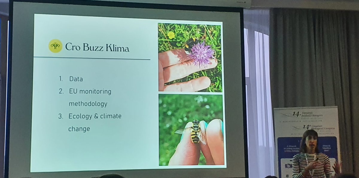 Presenting about wild #pollinators 🐝🪰 on 14th Croatian biological congres in Pula 🌊

#EUPollinators #crobuzzklima #naturerestorationlaw #climate