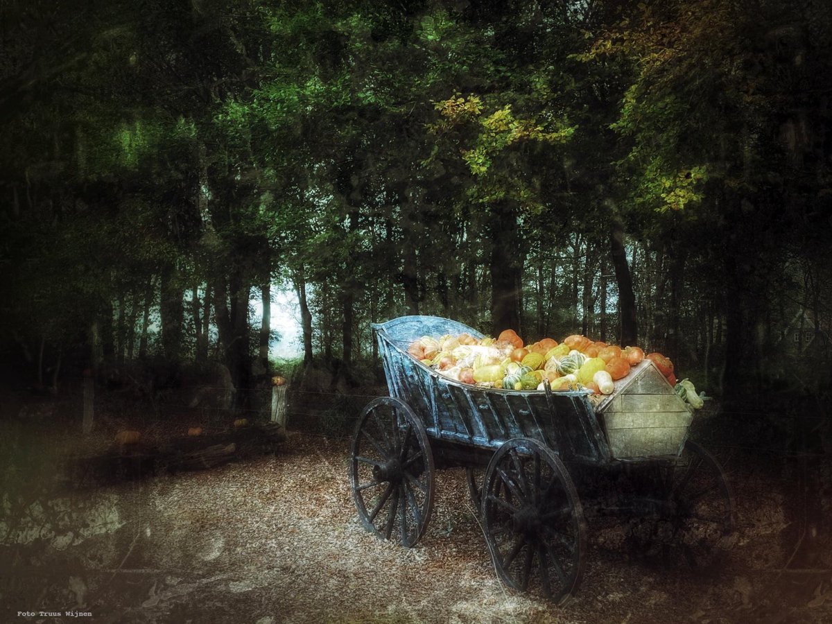 Goedemorgen
Groeten uit Twente

Foto is vorig jaar gemaakt bij De Pompoenerie Twente @ Mander
#langshetwandelpad #tweedeversie