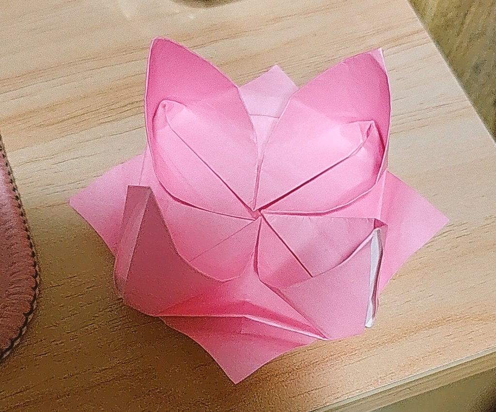 NatureAndWater's tweet photo. lotus :DDD

,,,,, does this look like a lotus- https://t.co/1YVIEg9u3h