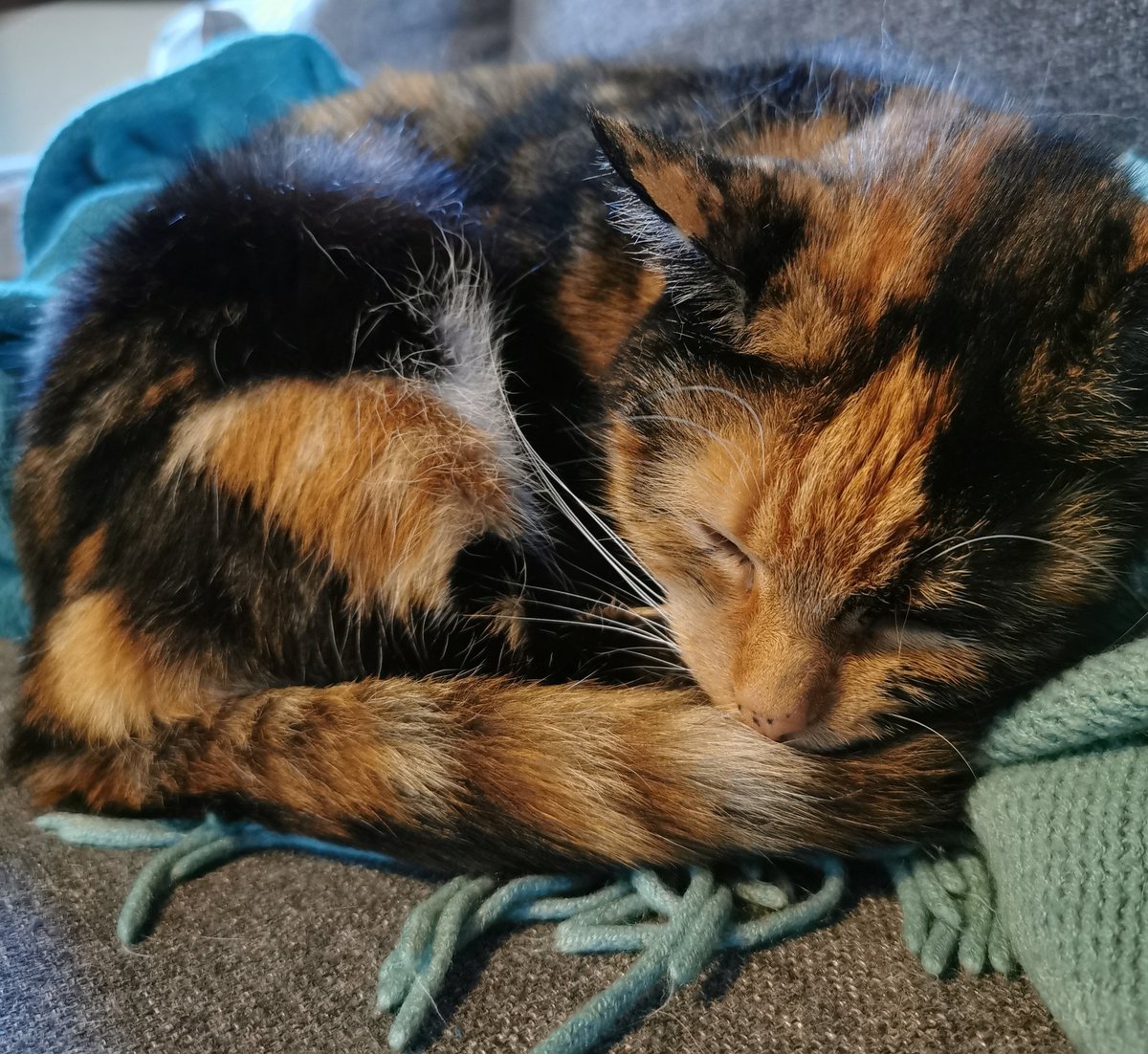 laptitesoeur_'s tweet photo. C'est dimanche. Merci de prendre en compte cette information avant de décider n'importe quoi. https://t.co/9ZIn4Ktz2U