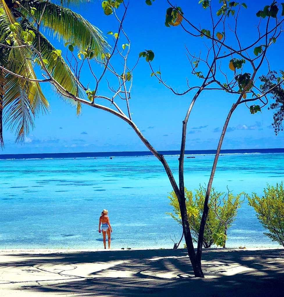 melissahoyer's tweet photo. #Flashback to a pre-pandemic trip to Tahiti where we judged the Mr Tahiti comp (yup!) b4 a visit to @TheBrandoResort @BoraBoraPhotos @MeridienBora https://t.co/IQeiB0on0S - wouldn’t you love to be there! #travel #escapesnaps @escape_au #tahiti @TahitiTourisme
#Wanderlust https://t.co/zkvVG1mo67