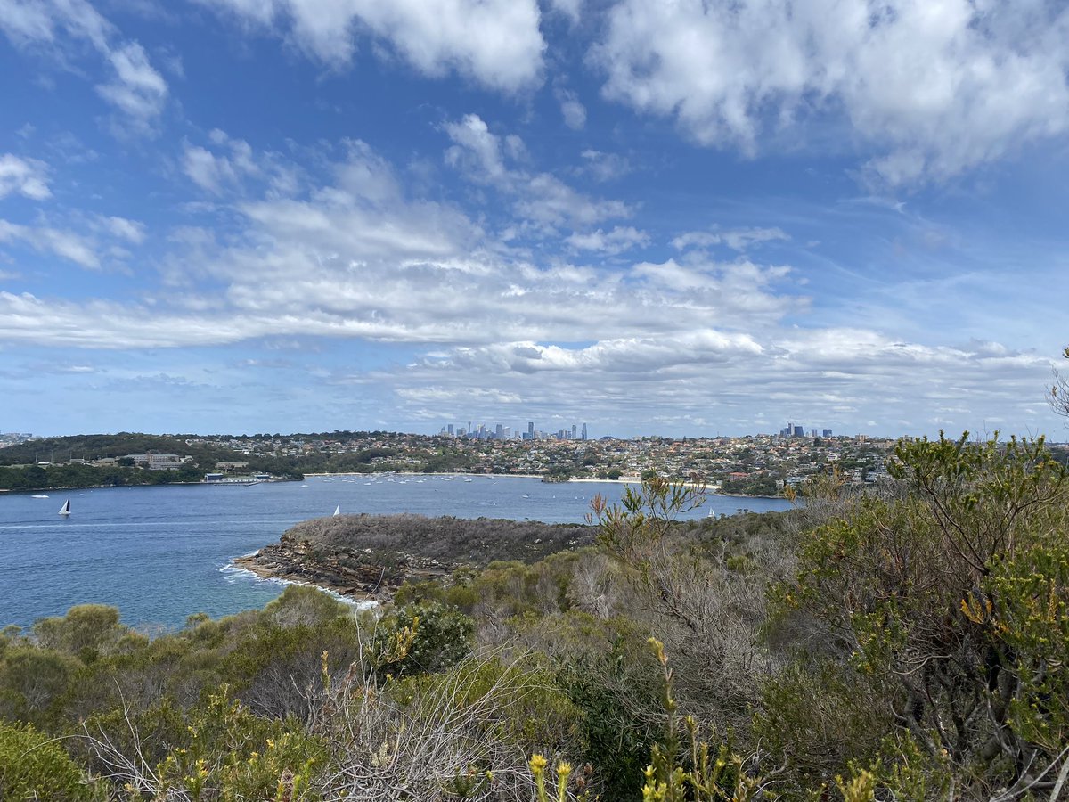 The Spit ➡️ Manly