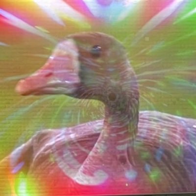 CGustini's tweet photo. #NewProfilePic https://t.co/6voNdp0dou