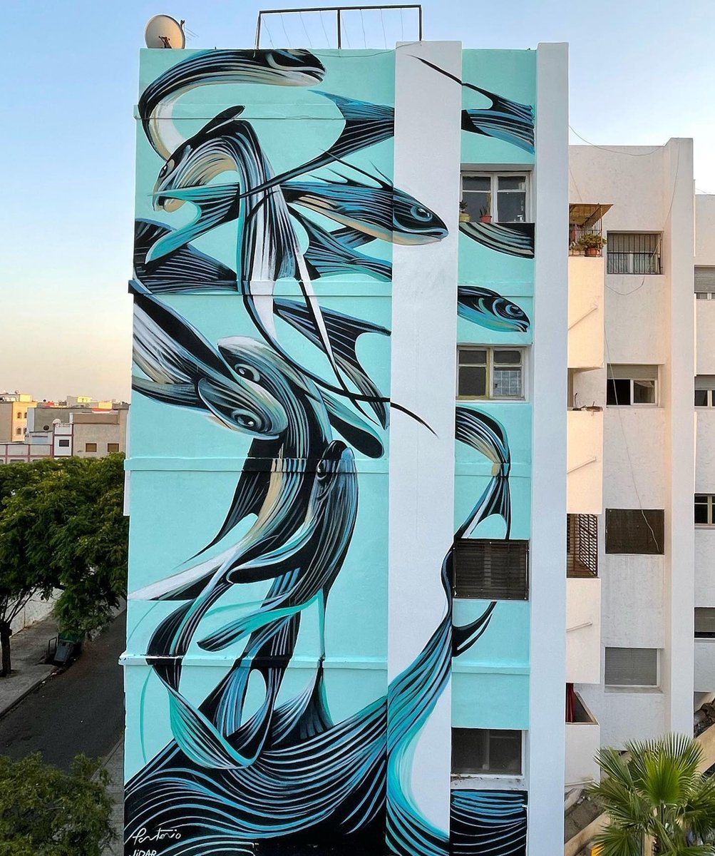 #Streetart by #Pantonio @ #Rabat, Morocco, for #JIDARFestival
More info at: barbarapicci.com/2022/10/16/str…
#streetartRabat #streetartmorocco #moroccostreetart #arteurbana #urbanart #murals #muralism #contemporaryart #artecontemporanea