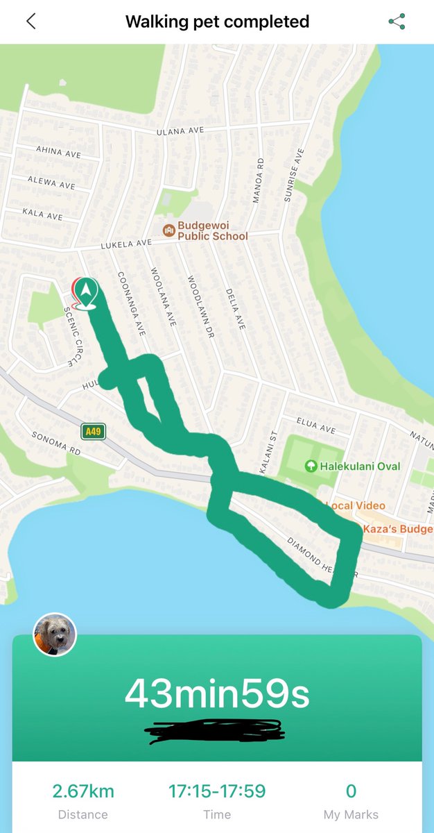 jodadi_o's tweet image. Long walk to the lake to make up for no walks whilst at #copycon2022 and I think he forgives me ❤️❤️❤️